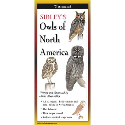 The cover image of Sibley’s Owls of North America folding guide featuring a selection of illustrations of owls against a white background