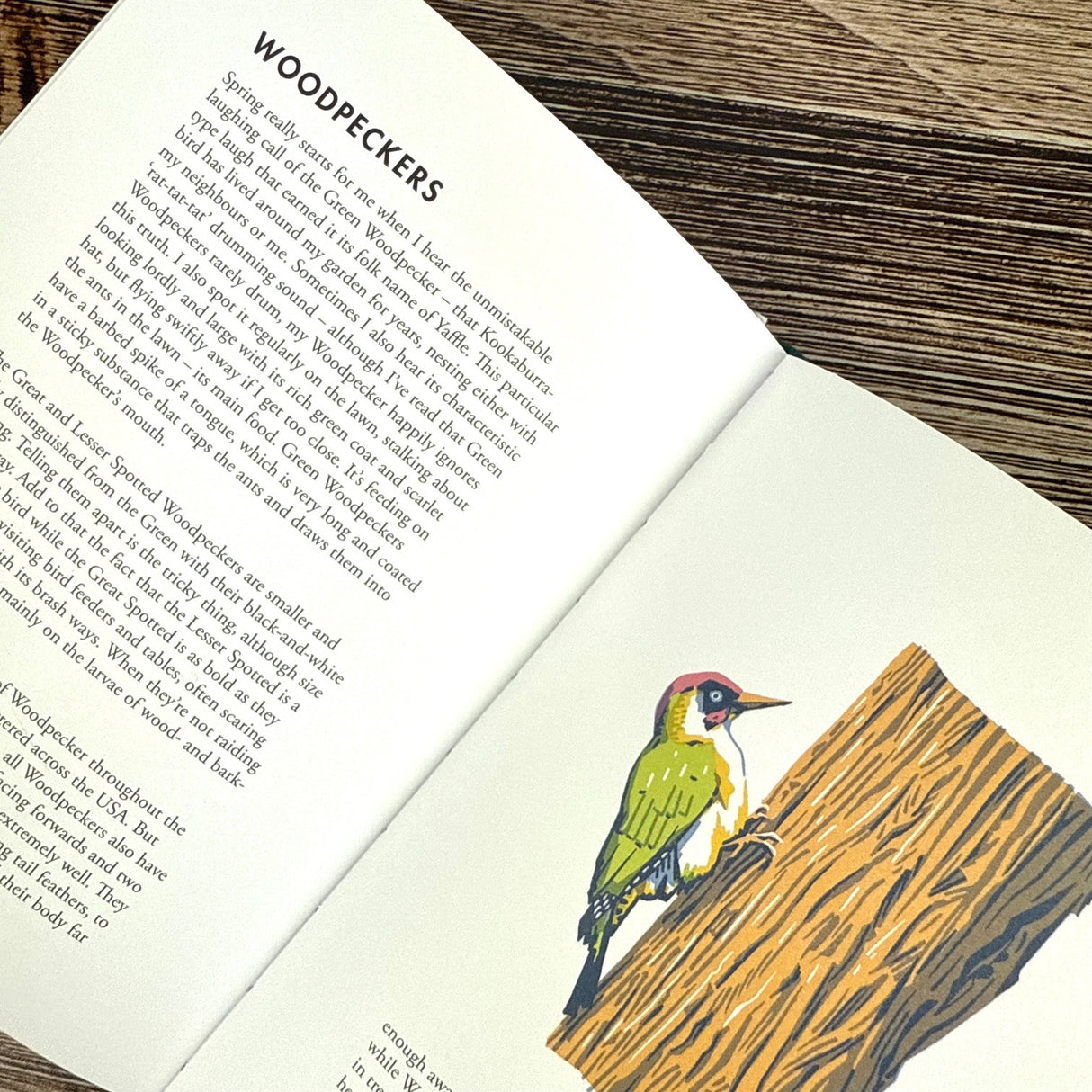 Planting for Garden Birds