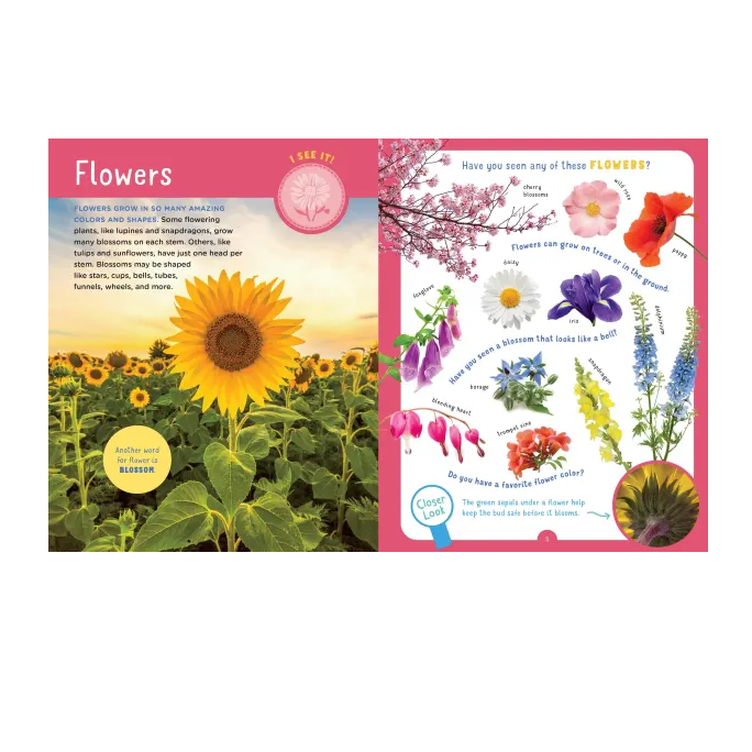 interior page about flowers and different kinds of blossoms