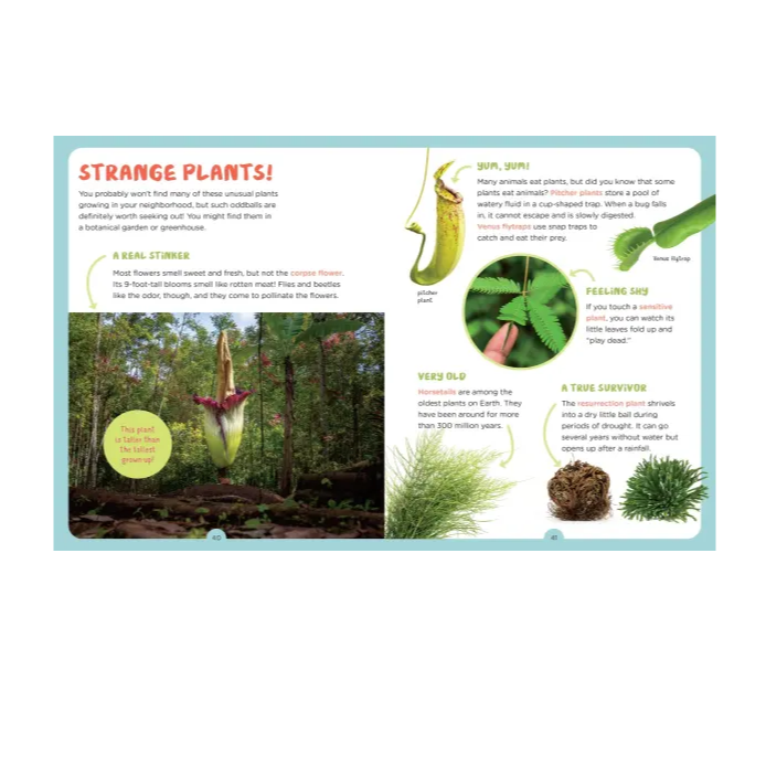 interior page featuring strange plants