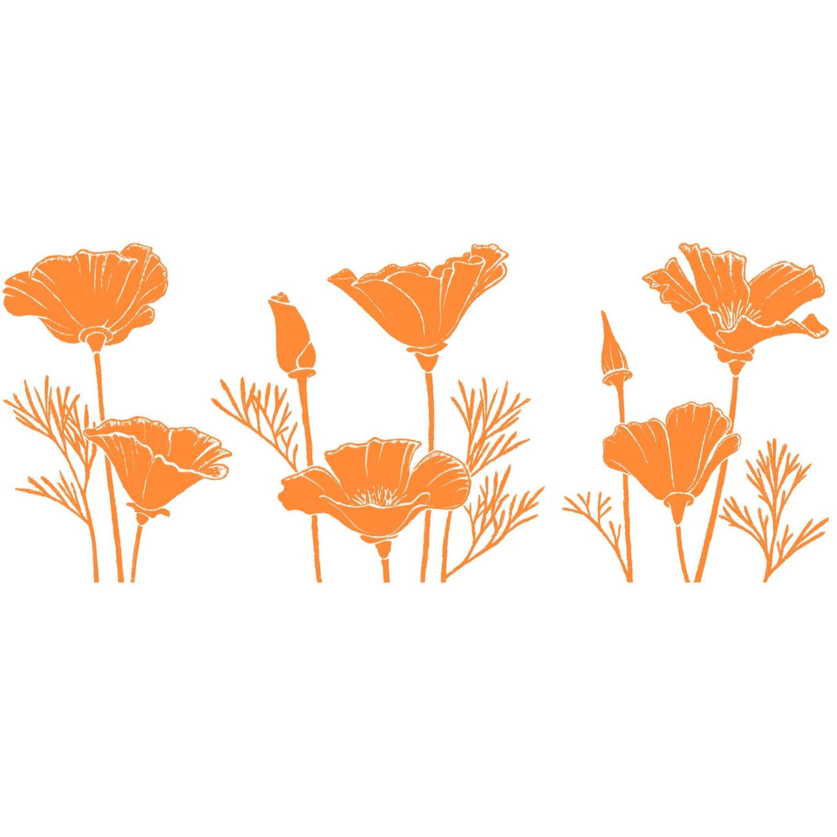 vintage inspired illustrations of poppy flowers in a row