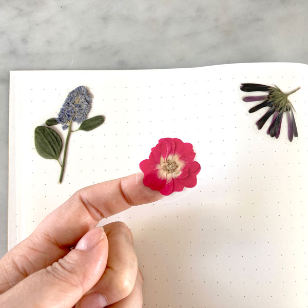 Pressed Flowers Sticker Sheet - Rainbow Gradient