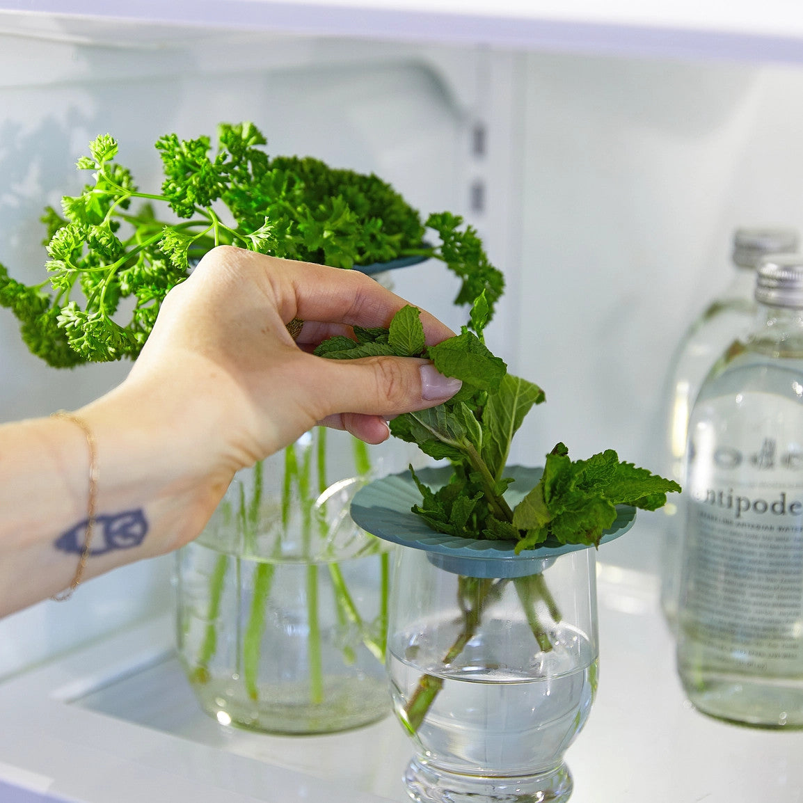 Produce Keepers - Set of 2