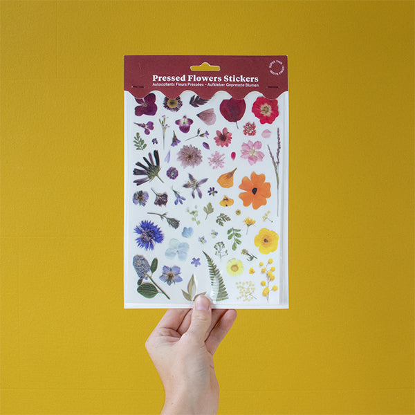 Pressed Flowers Sticker Sheet - Rainbow Gradient