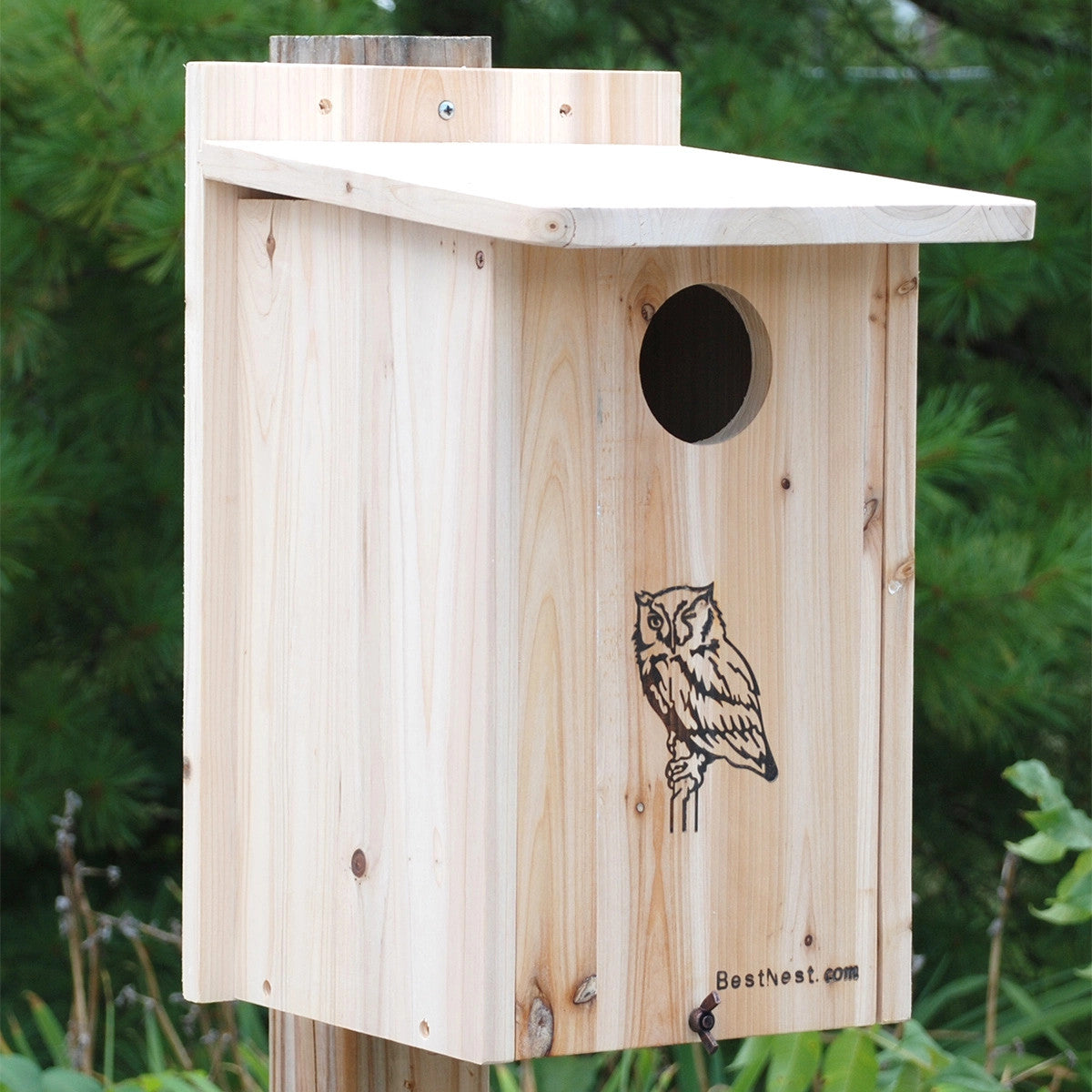 a light wood screech owl house mounted on a post in a garden - an illustration of an owl and the brand "best nest" are wood burned into the front of the house