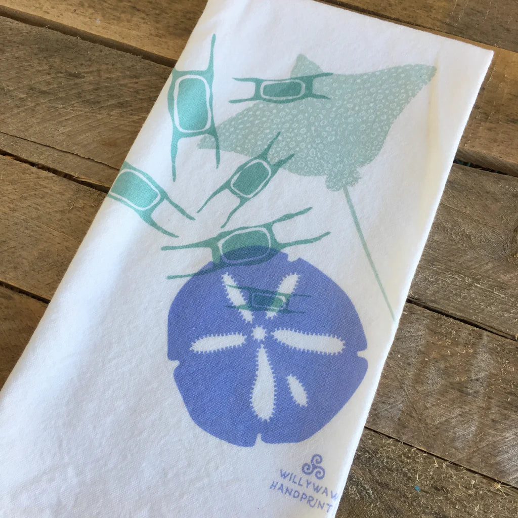 close up of the sand dollar, skate egg, and ray towel on a wooden surface