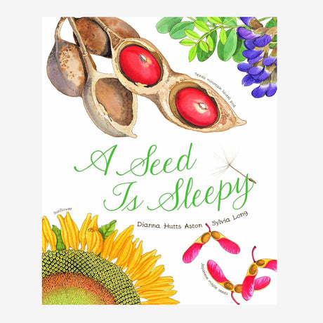 Book cover of 'A Seed Is Sleepy' with illustrations of seeds, flowers, and leaves on a white background.
