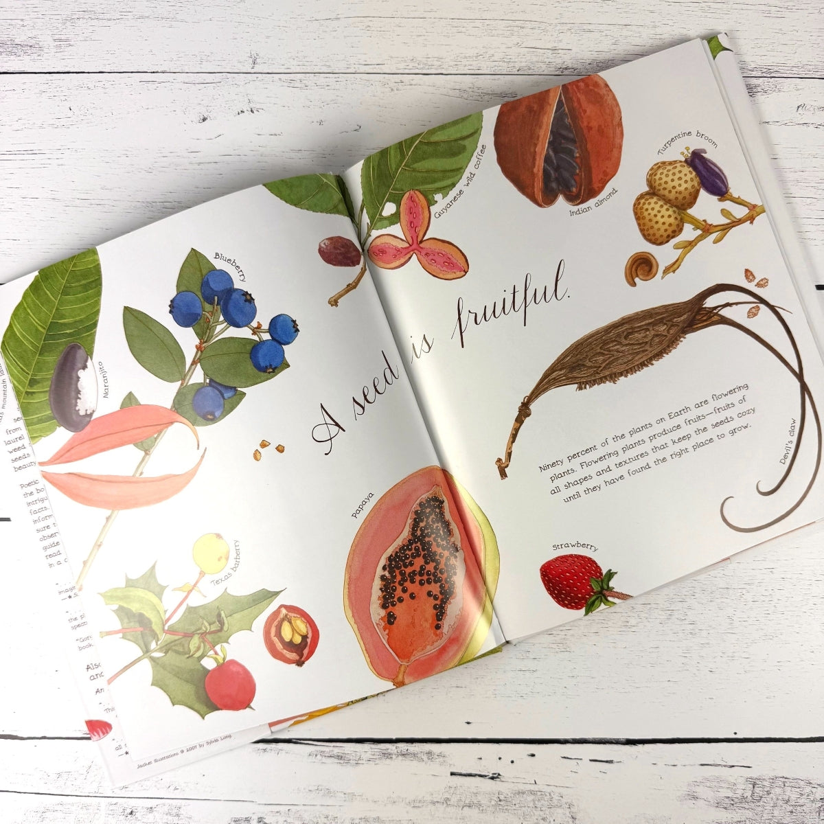 Open book with illustrations of fruits and plants on a wooden surface