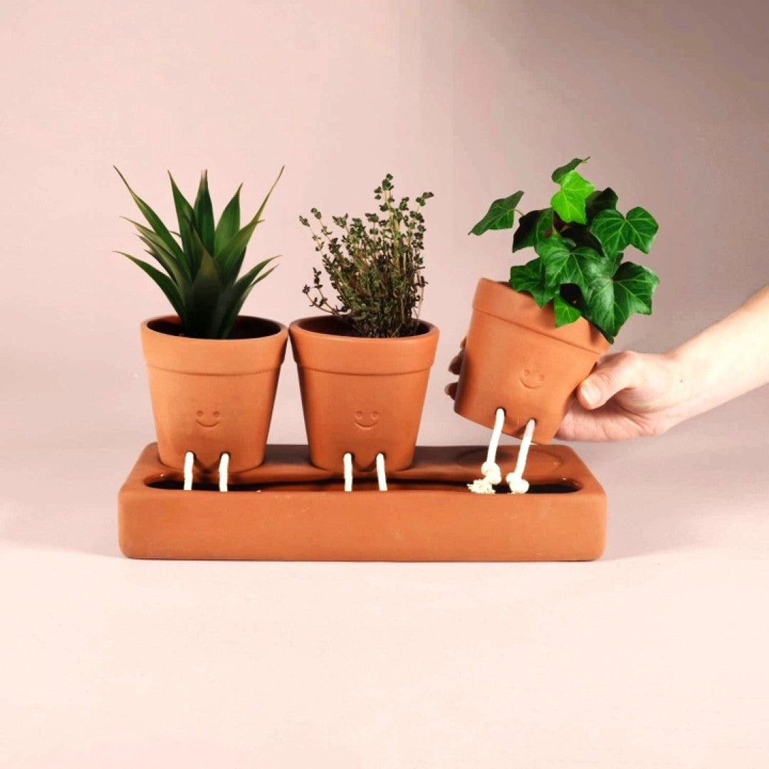Three terracotta pots with plants on a matching stand against a plain background