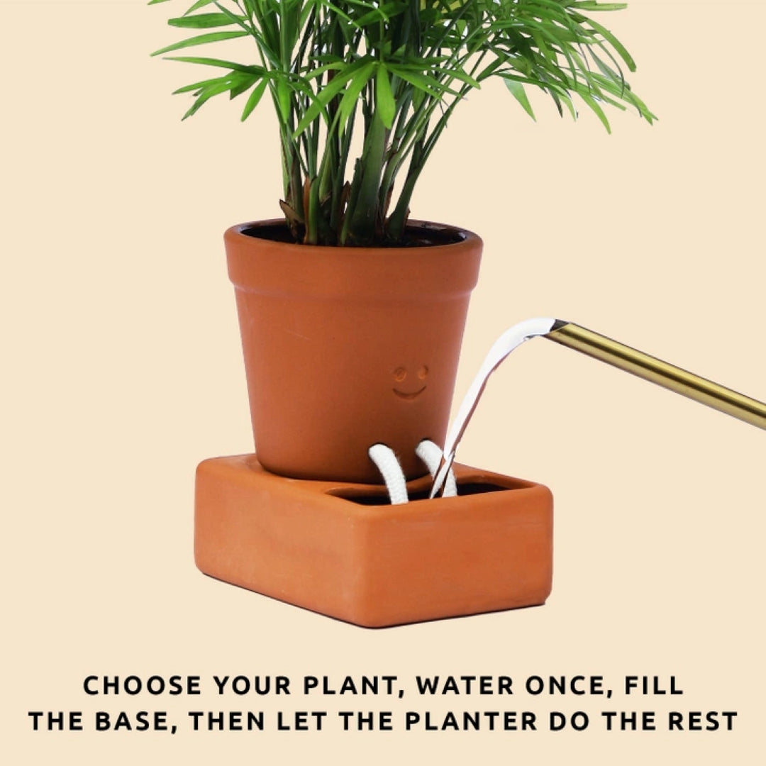 plant pot with smiley face design and water reservoir with cotton rope "legs" dipping into the reservoir with a watering can pouring water into the base, on beige background