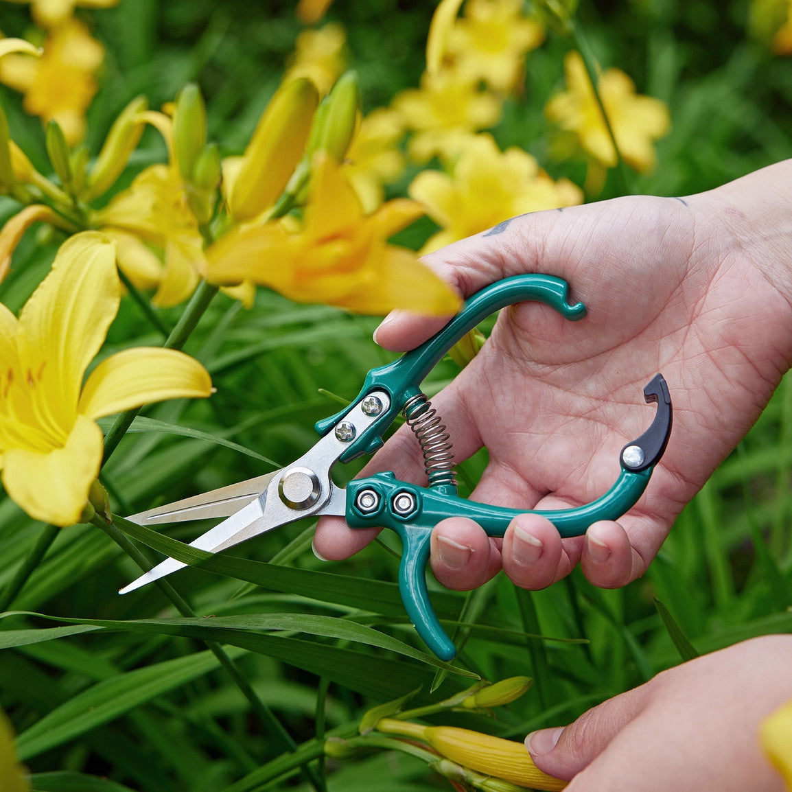Garden Shears