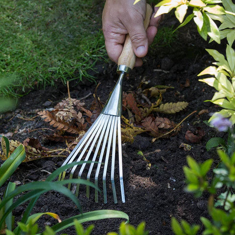 RHS Stainless Shrub Rake