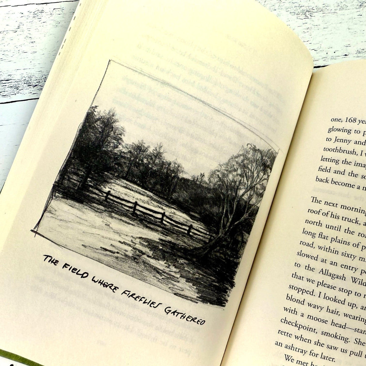 interior page of Six Walks showing the authors illustration of a wooded field with the caption "the field where fireflies gathered"