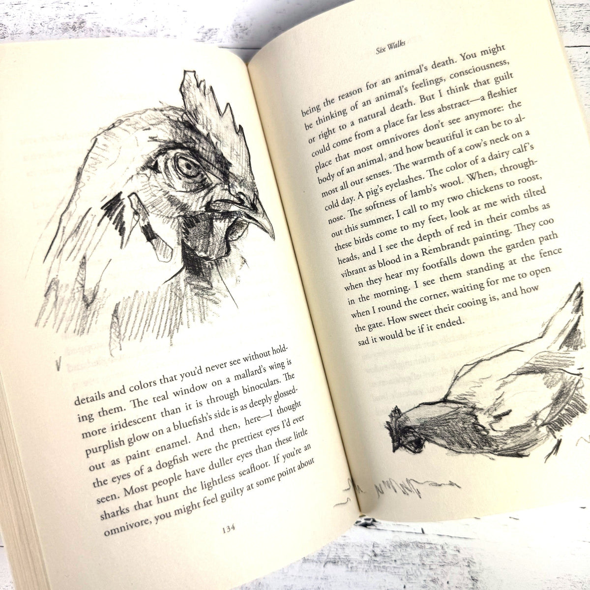 interior page of Six Walks with author illustrations of hens and roosters
