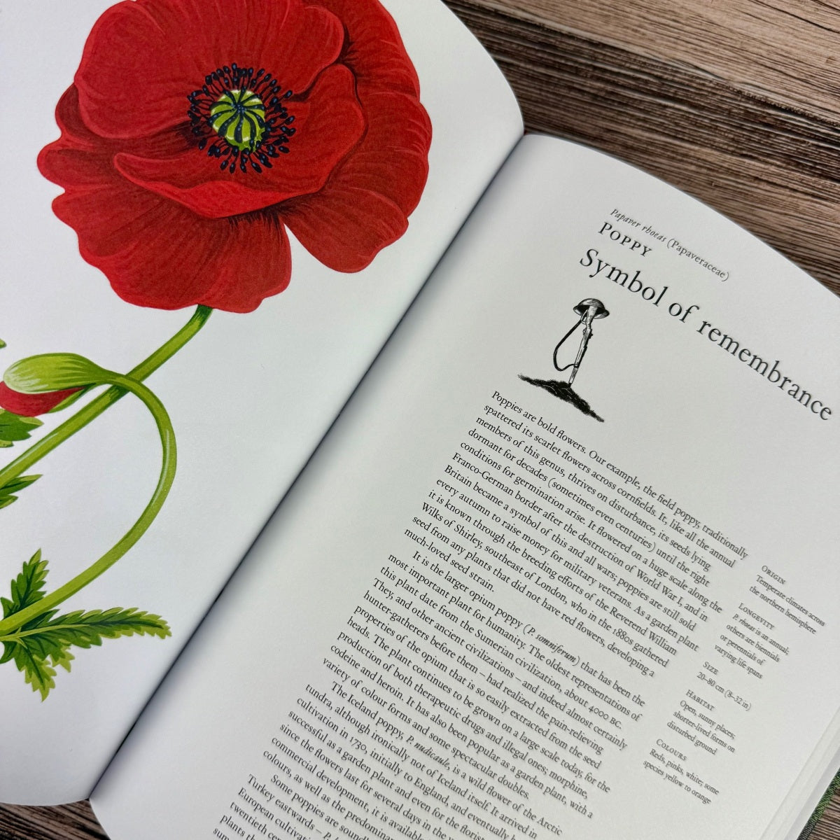 The Story of Flowers: And How They Changed the Way We Live