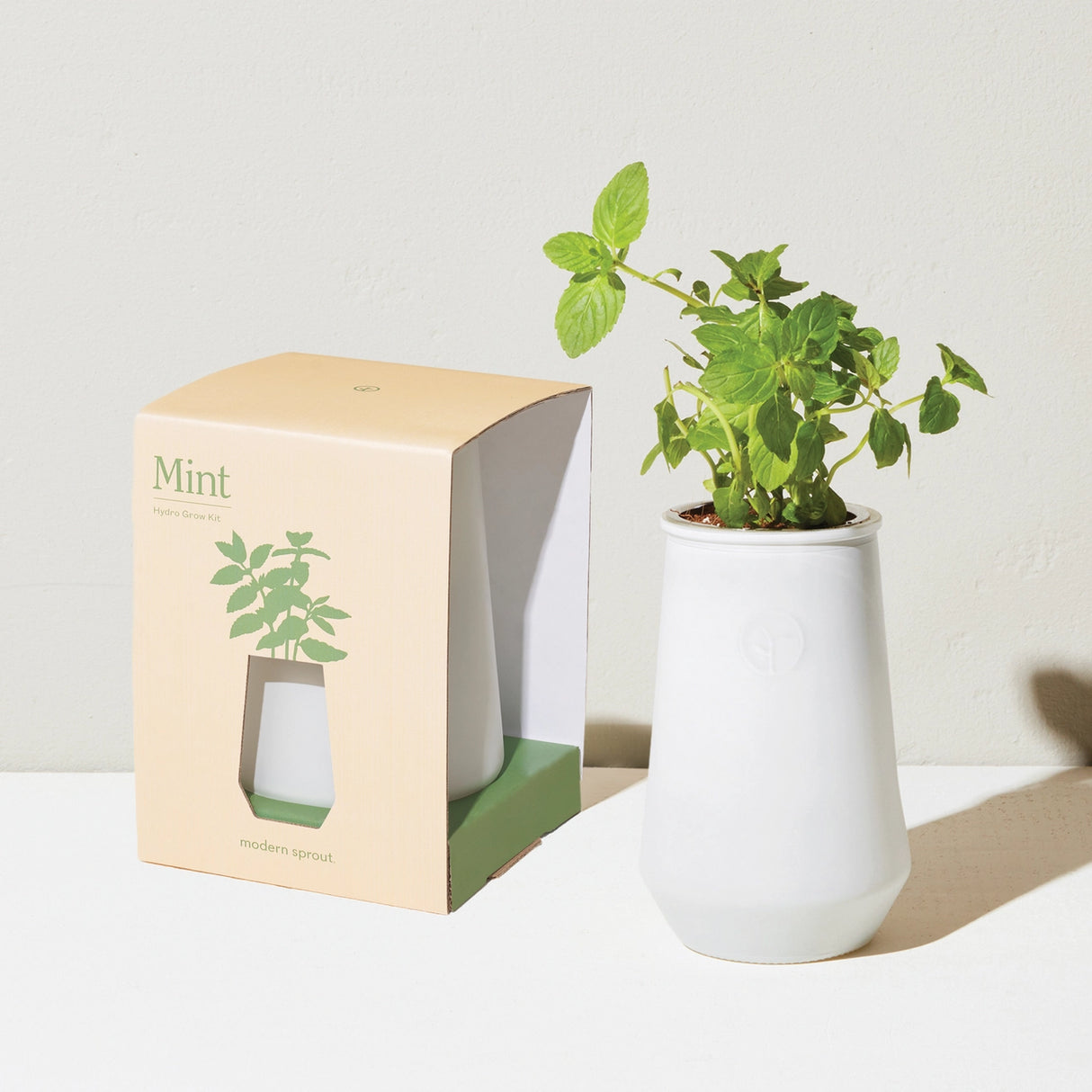 Tapered Tumbler Herb Grow Kit