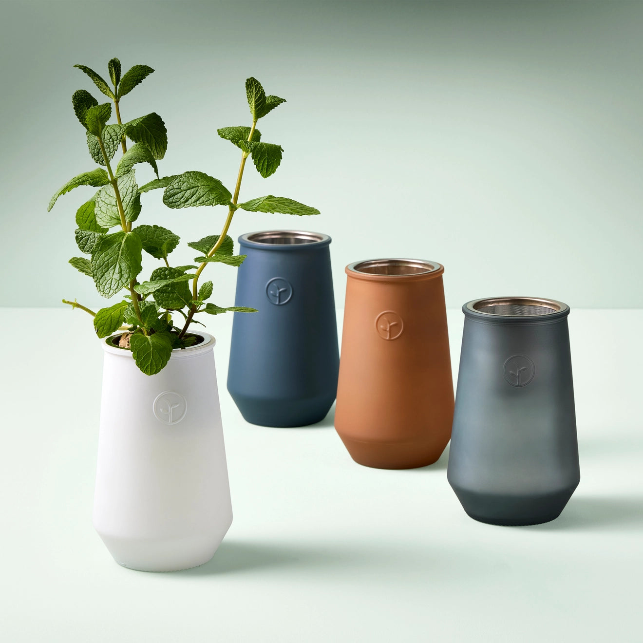 Tapered Tumbler Herb Grow Kit