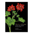 book cover of The Story of Flowers with red flowers on a black background