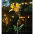 the yellow tiger lily solar stake illuminated in a garden at night