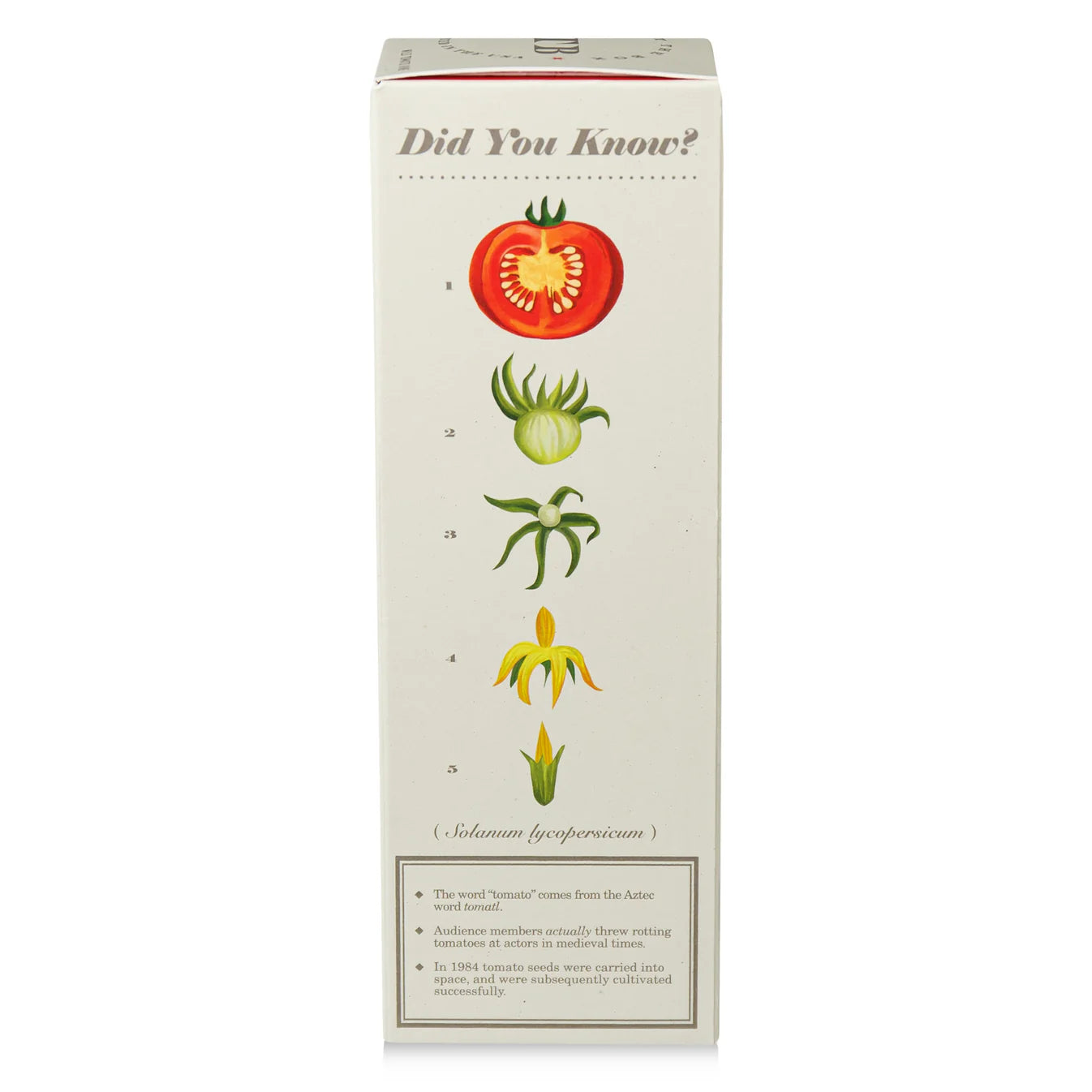 Wild Tomato Vine - Plant the Box Diffuser - 4oz