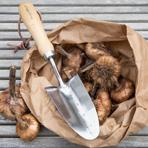 the transplanter resting atop a paper bag filled with bulbs ready for planting
