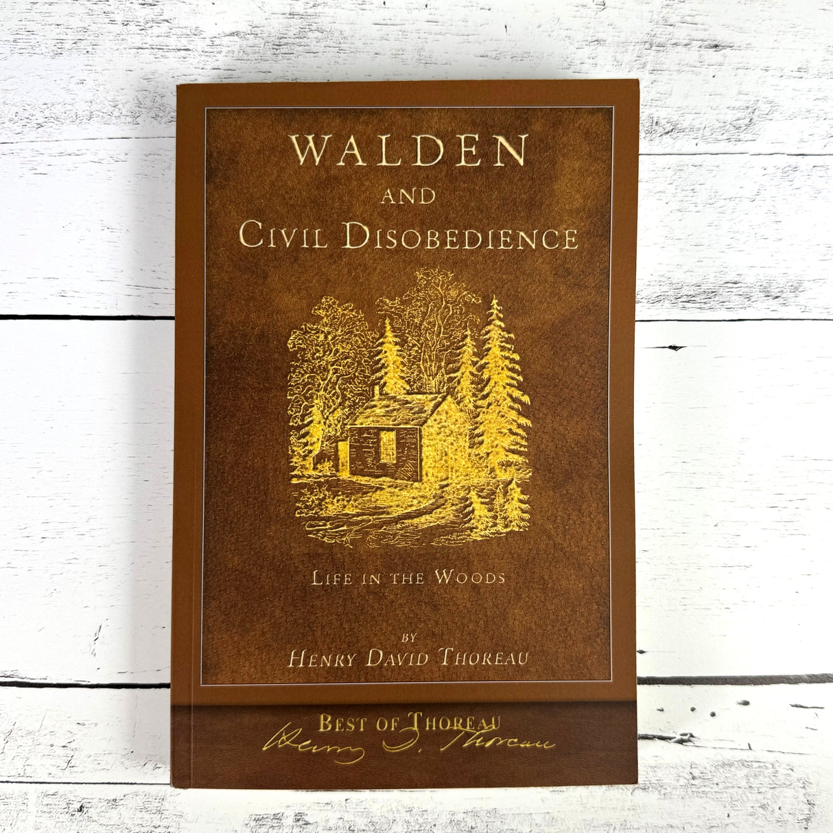 Walden & Civil Disobedience