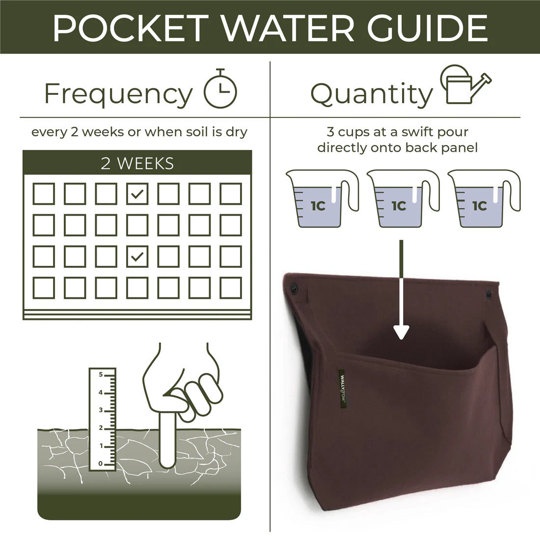 A graphic showing watering frequency - a calendar that marks every two weeks as suggested watering schedule and amount of water