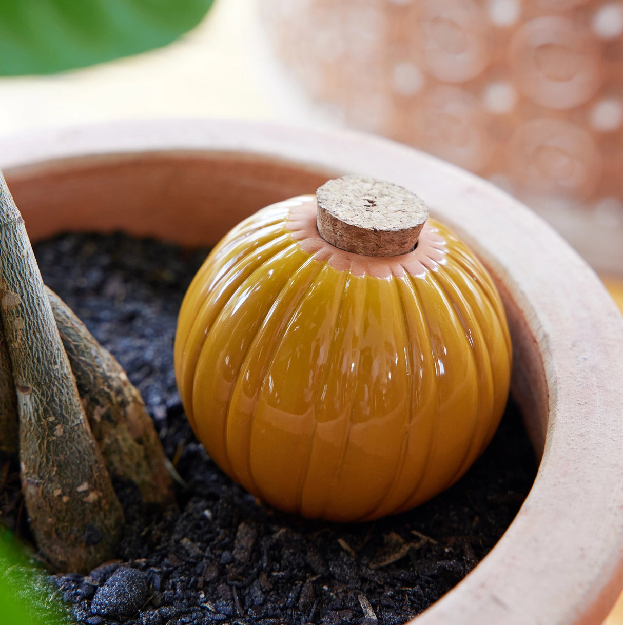 Terracotta Watering Bulb - 3 colors