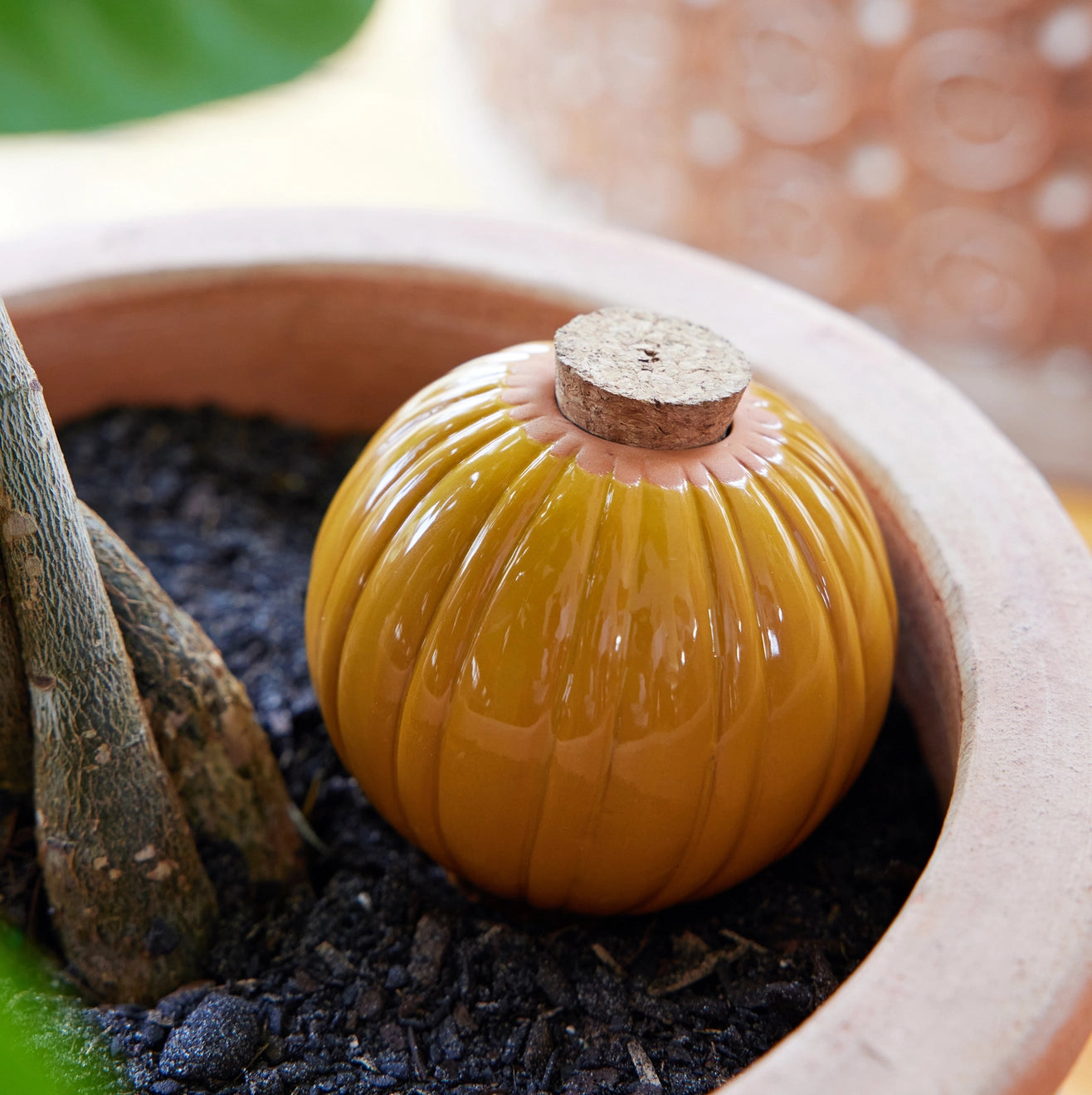 Terracotta Watering Bulb - 3 colors