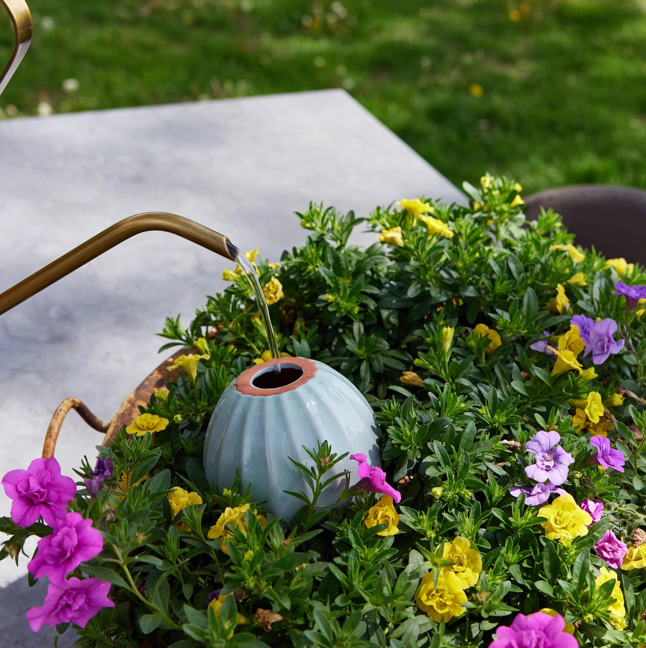 Terracotta Watering Bulb - 3 colors