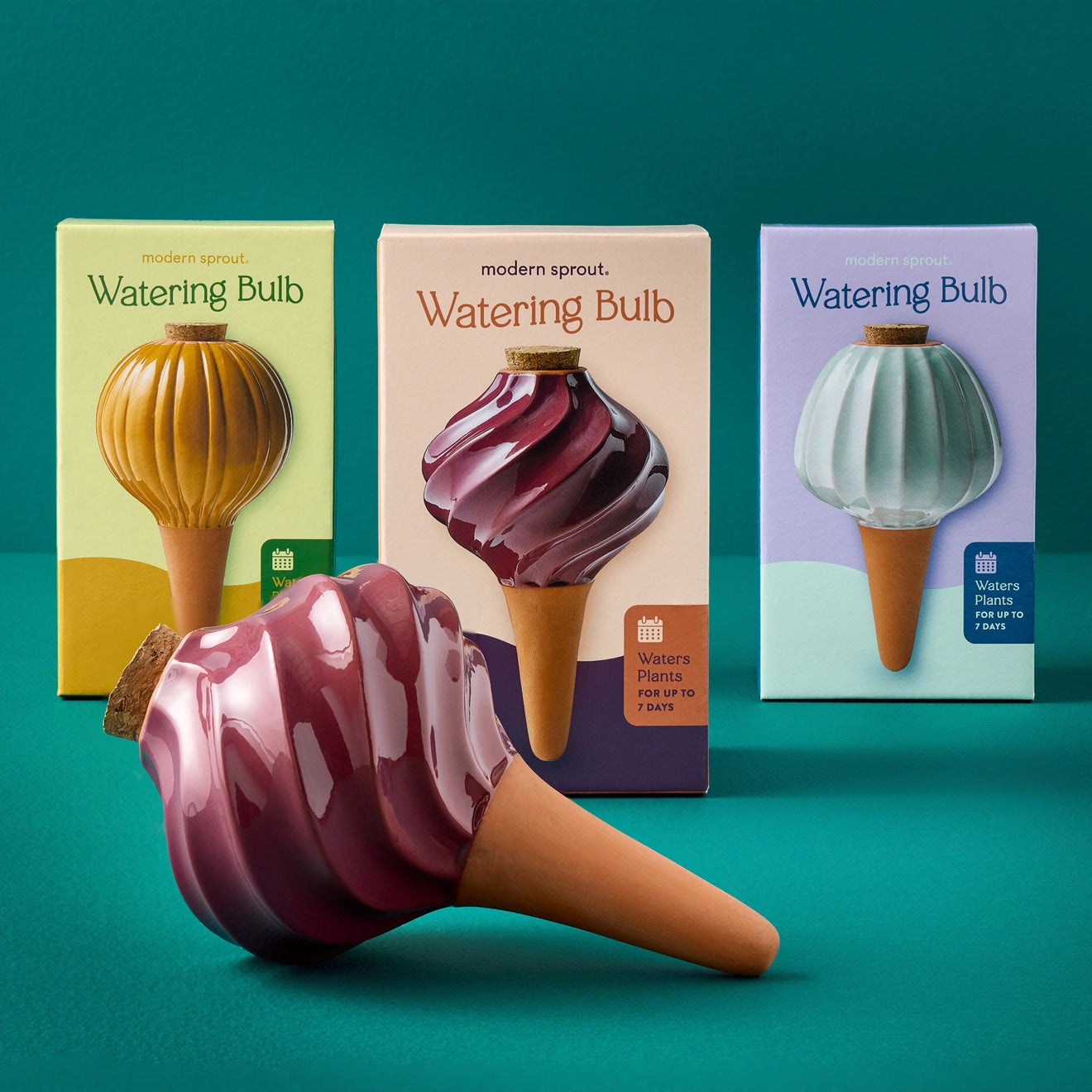 Terracotta Watering Bulb - 3 colors