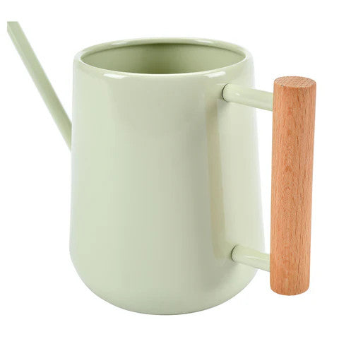 Indoor Watering Can