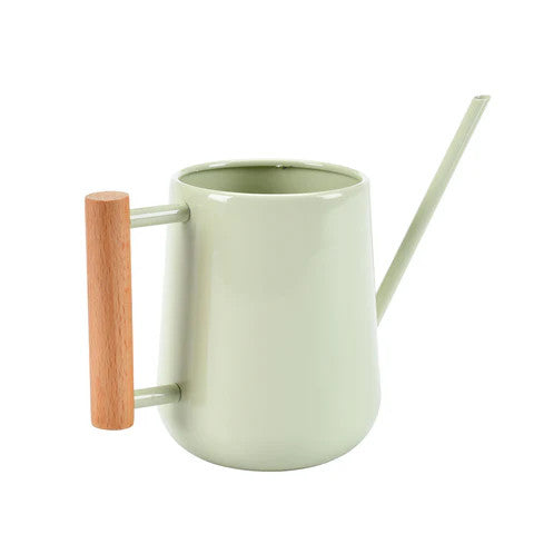 Indoor Watering Can