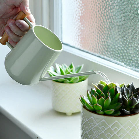 Indoor Watering Can