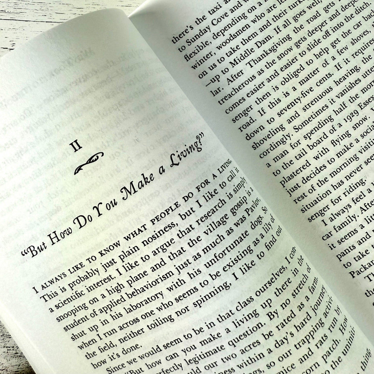 interior page of We Took to the Woods chapter page "But How Do You Make a Living?"