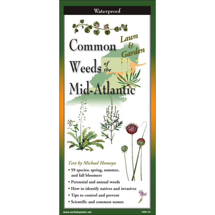 The cover image of Common Weeds of the Mid-Atlantic folding guide featuring a selection of illustrations of weeds against a map of the Mid-Atlantic US states