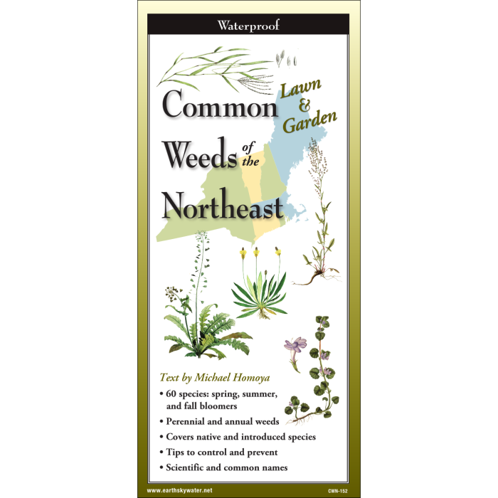 The cover image of Common Weeds of the Northeast folding guide featuring a selection of illustrations of weeds against a map of the Northeastern US states