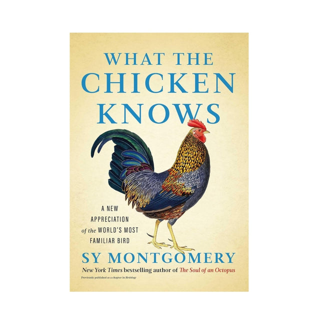 What the Chicken Knows: A New Appreciation of the World's Most Familiar Bird