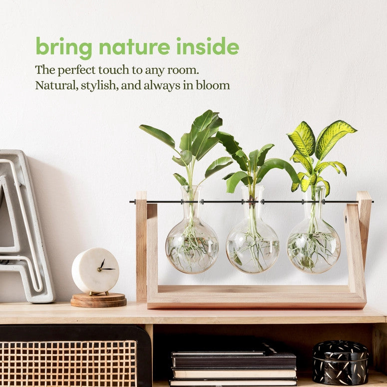 the air planter on top of a shelf with other decorative items to show that the planter itself adds to the decor of any space