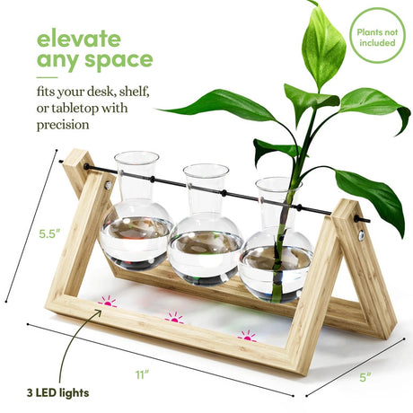 the air planter on a white background with text "elevate any space", "plants not included" and graphics showing the size - 11 inches wide, 5 inches deep, 5.5 inches tall