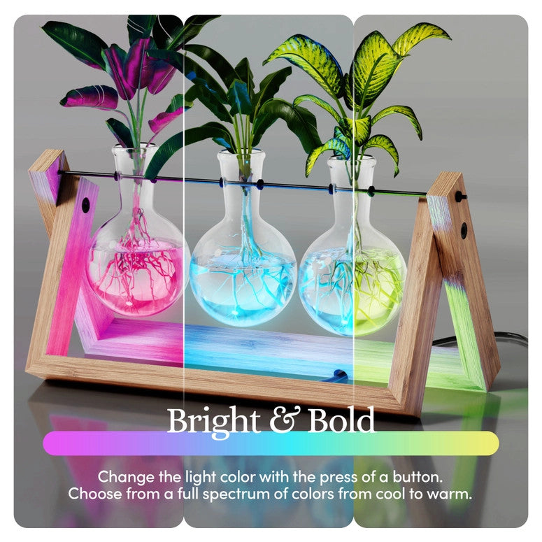 The air planter with the LED lights on - the photo is split into three sections to show the range of colors available for the lights including pink, blue, and green