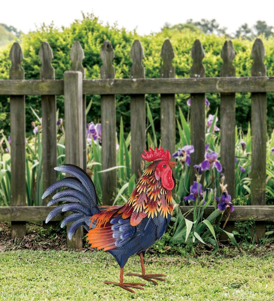 The Arroyo Rooster decor standing on grass in a yard with a wooden picket fence and green garden behind it.
