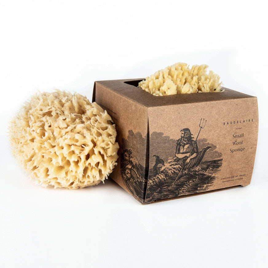 a kraft colored box with illustration of Neptune with a sponge peeking out of the box and another sponge alongside the box