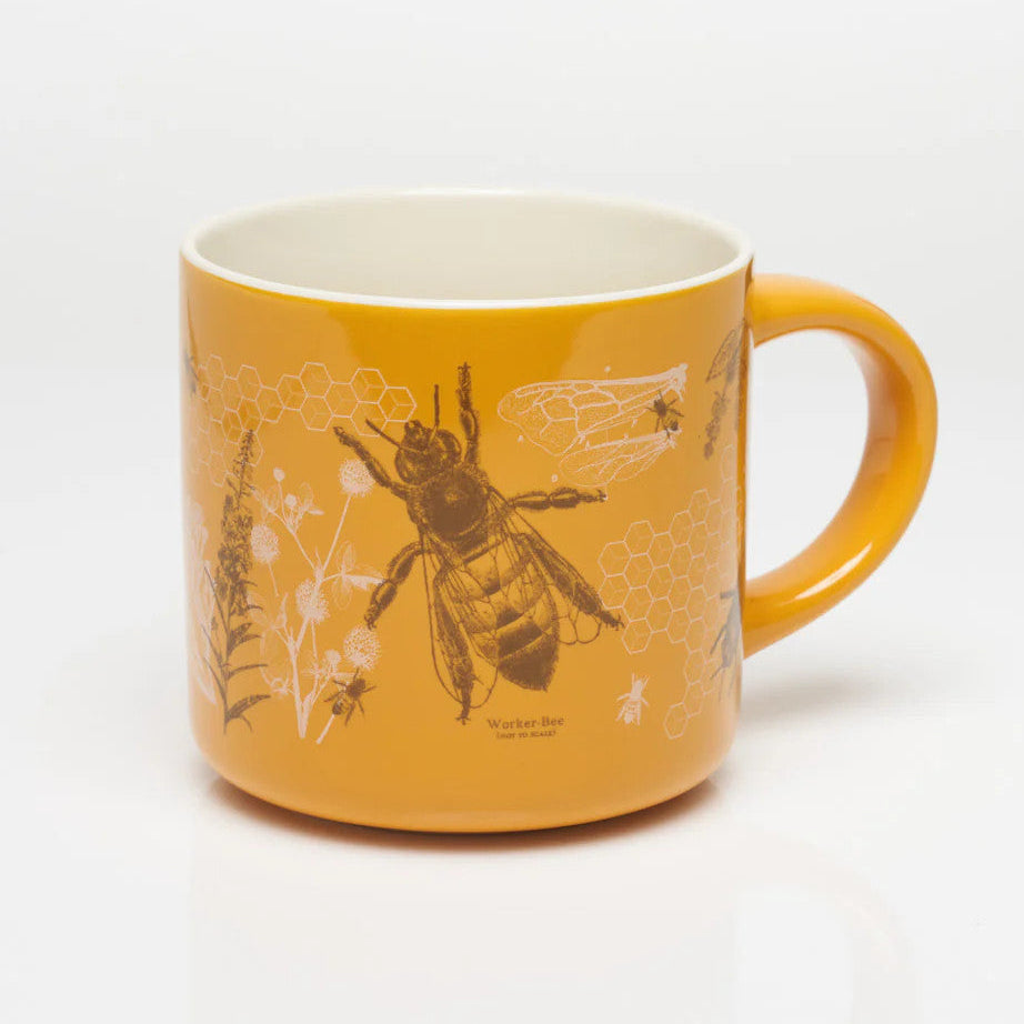 the other side of the goldenrod yellow coffee mug with vintage illustrations and scientific diagrams of honey bees