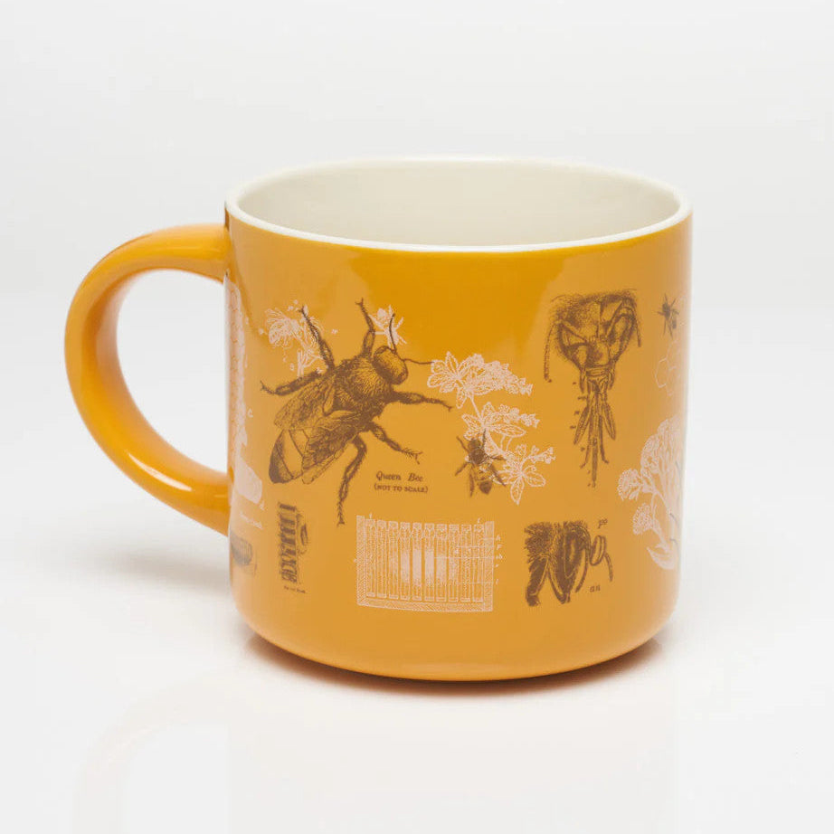a goldenrod yellow coffee mug with vintage illustrations and scientific diagrams of honey bees