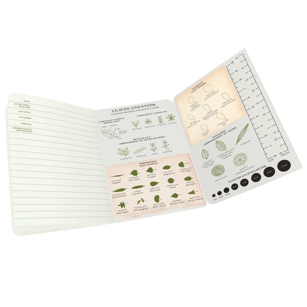 Botany Naturalist's Notebook