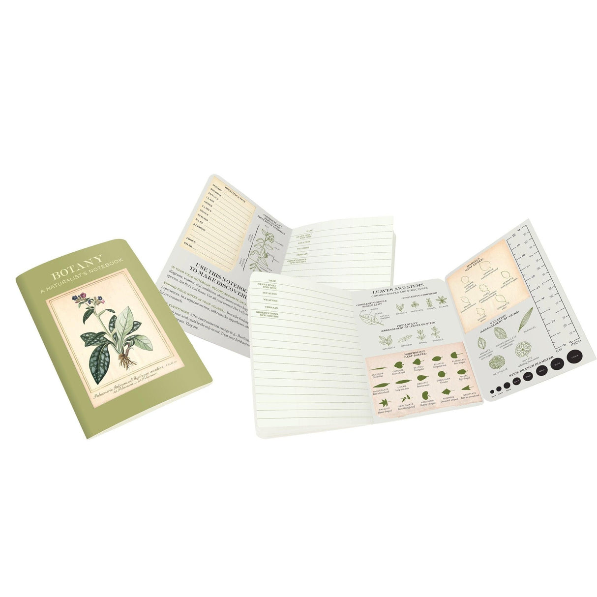 Botany Naturalist's Notebook