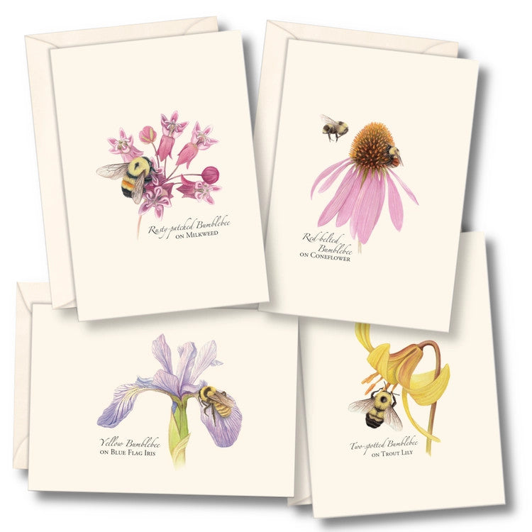 the four card designs in the bumblebee notecard assortment adorned with illustrations of bumble bees pollinating various flowers