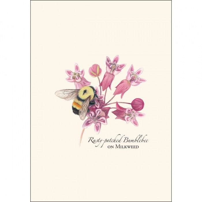 a close up of the art on one of the notecards featuring an illustration of a bumblebee on a milkweed plant with the text "Rusty Patched Bumblebee on Milkweed"
