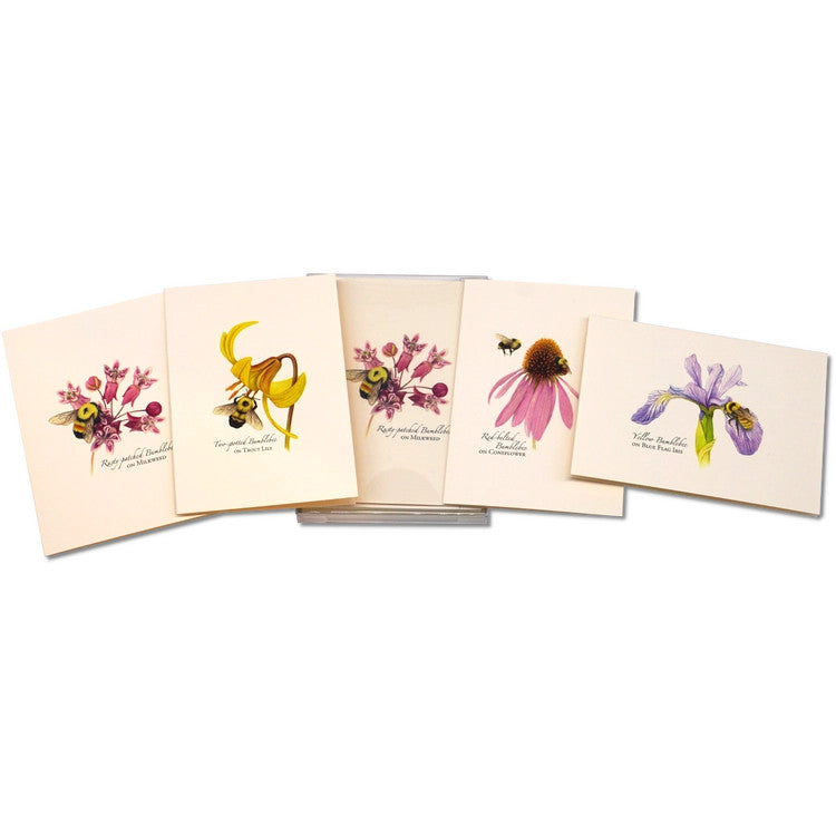 a spread of 5 of the notecards in the bumblebee notecard assortment